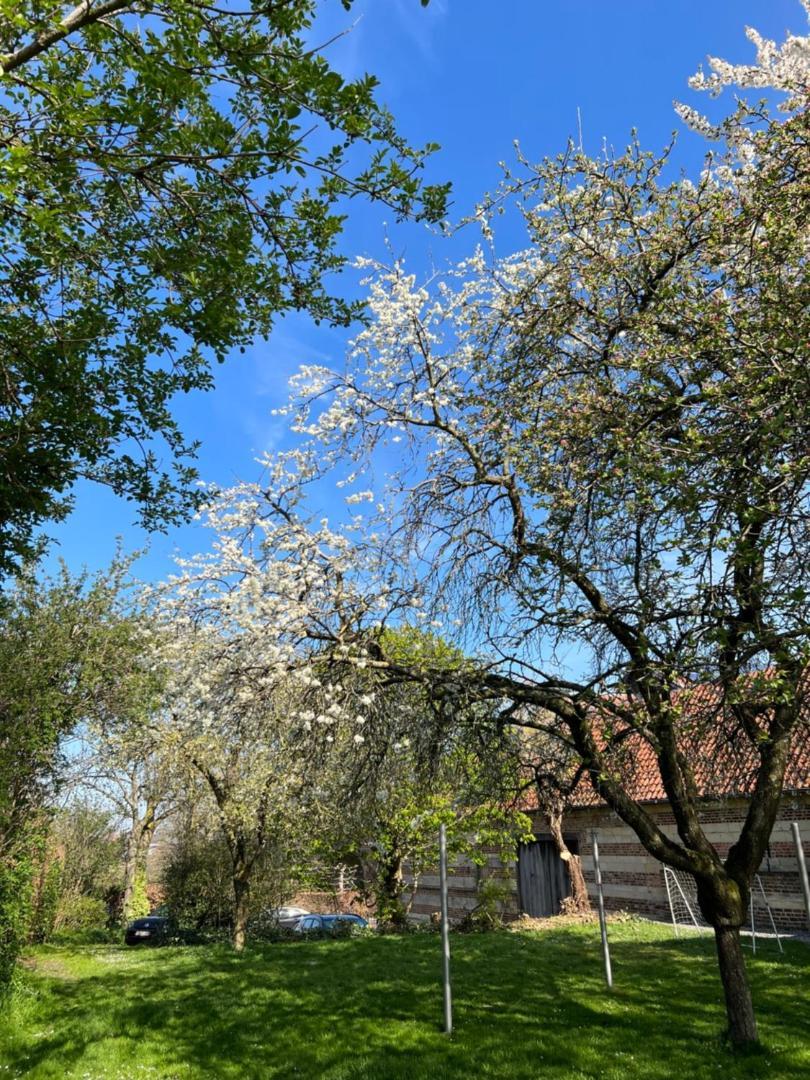 De Zwarte Stok Villa Riemst Dış mekan fotoğraf